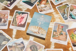 The Seashell Oracle: 44 Card Deck and Guidebook by Broccoli