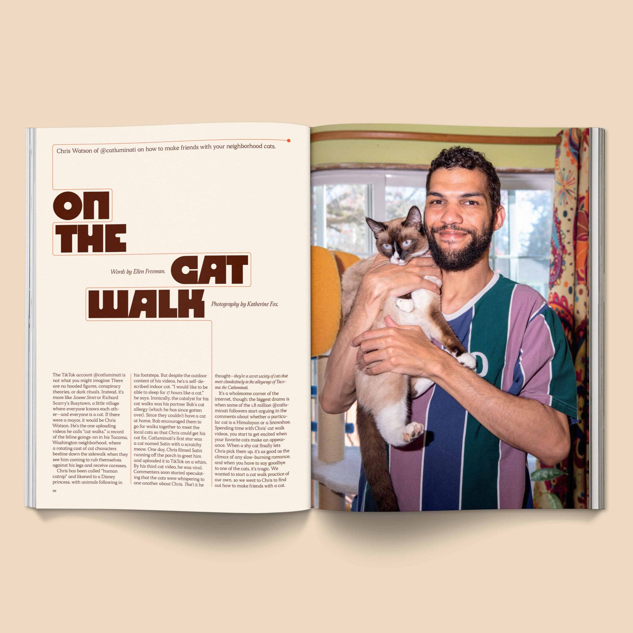 Catnip Magazine by Brocolli