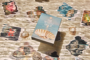 The Seashell Oracle: 44 Card Deck and Guidebook by Broccoli