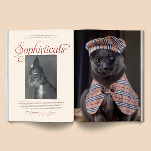Catnip Magazine by Brocolli