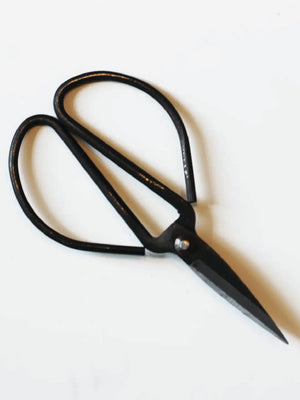Forged Steel Pruning Shears by Seattle Seed Company