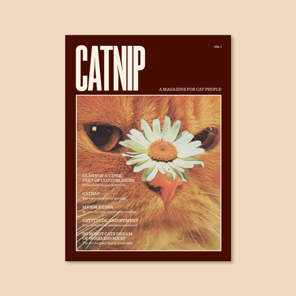 Catnip Magazine by Brocolli