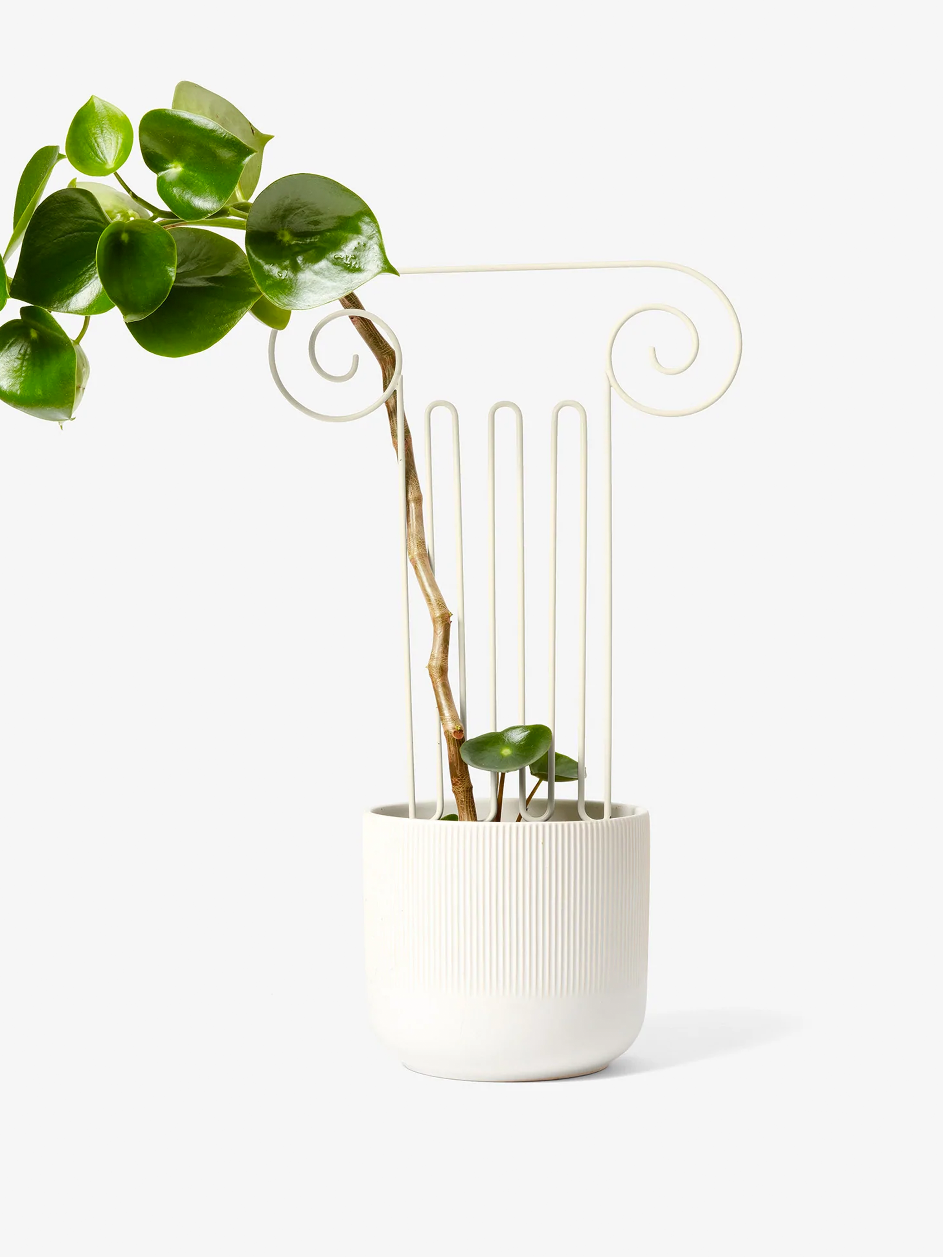 areaware plant trellis Plant Trellis by Areaware – Here In Heaven