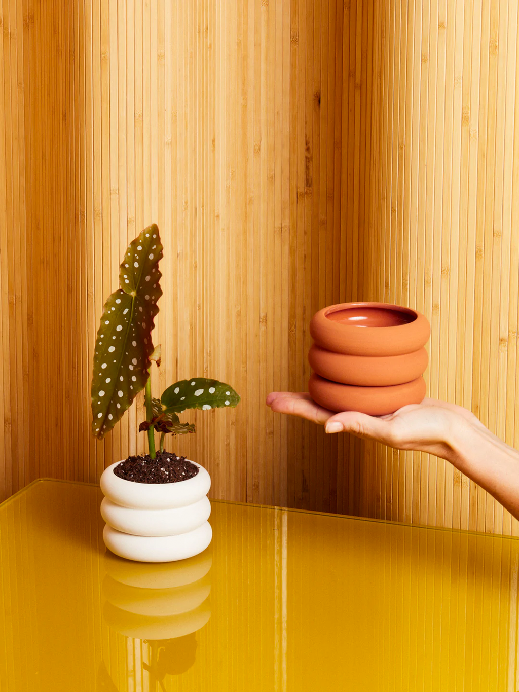 Mini Stacking Planter by Areaware